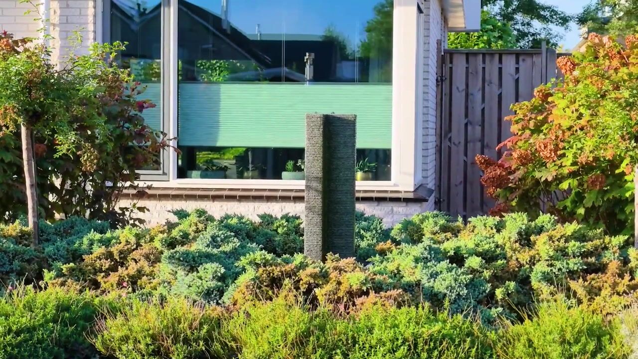 Video van Lavendelstrook 4