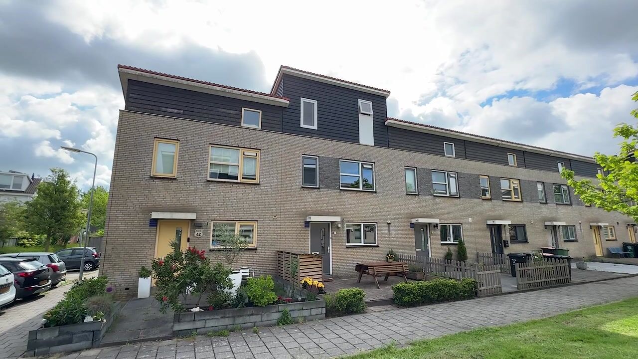 Video van Bassein 40
