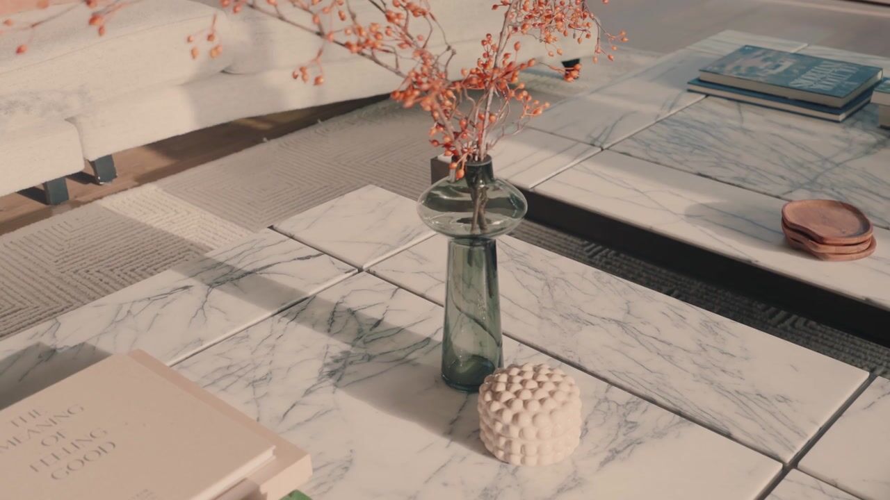 Video van Minervalaan 109