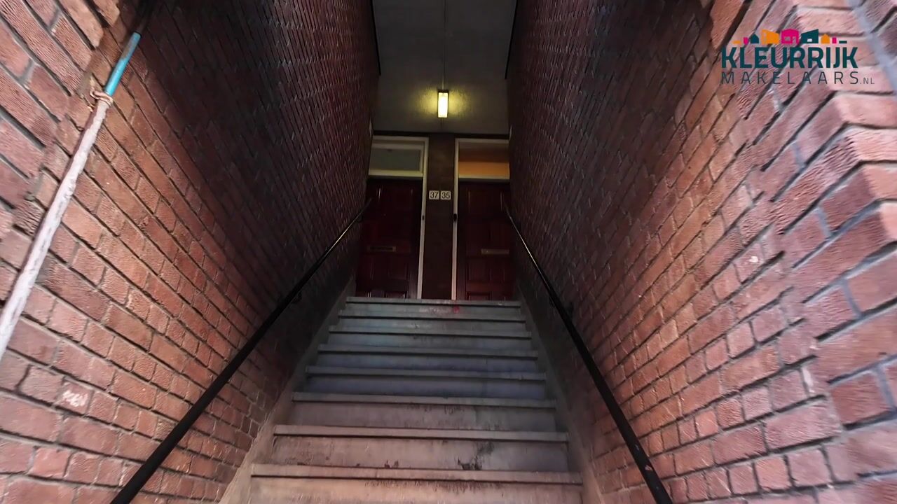 Video of Zwetstraat 35