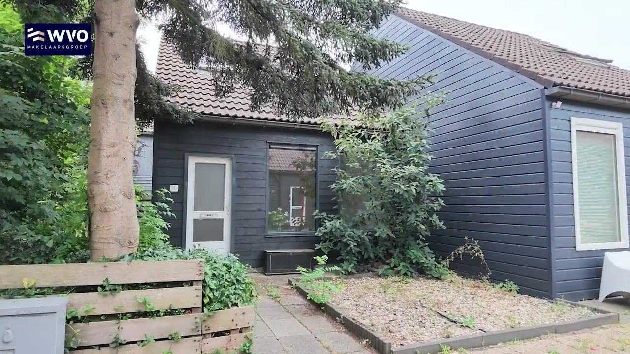 Video van Houtduif 1