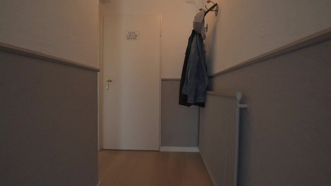 Video van Vondellaan 103