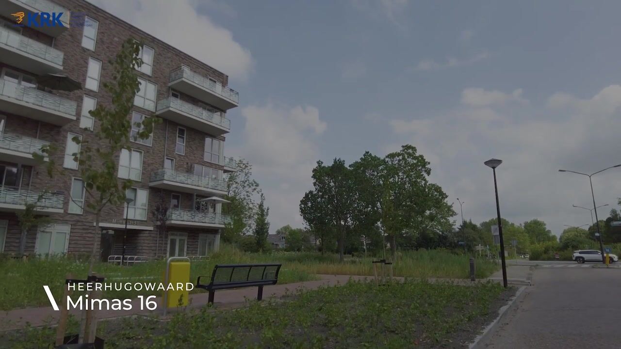 Video van Mimas 16