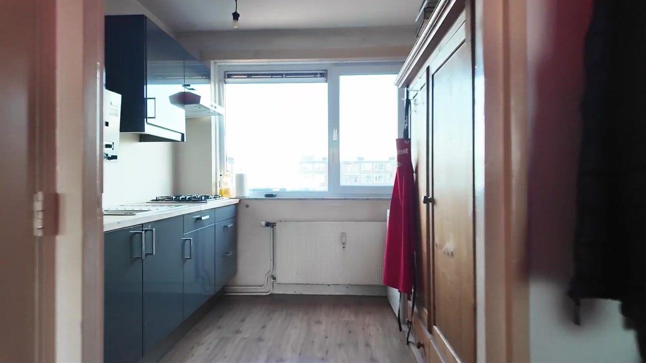 Video of Arnodreef 49