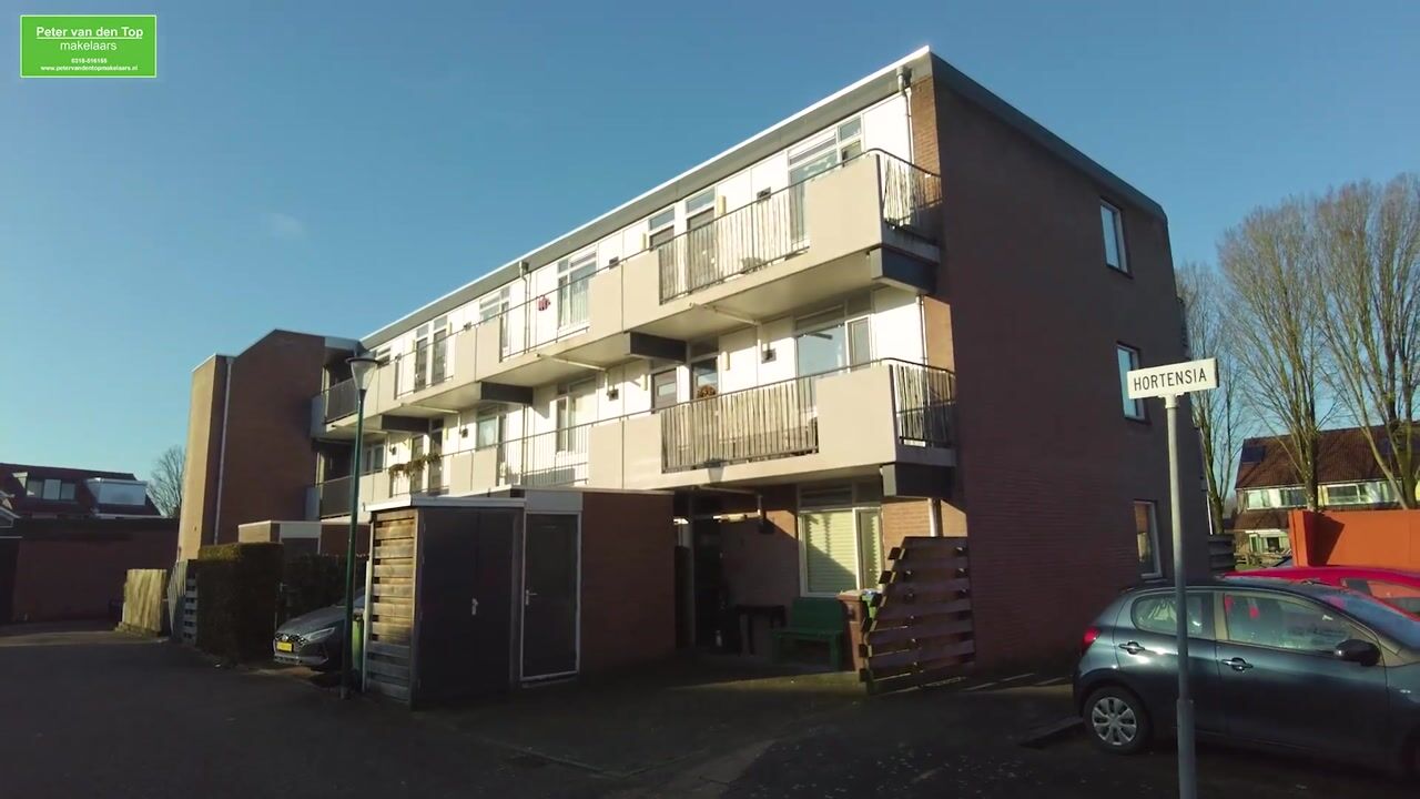 Video of Hortensia 16