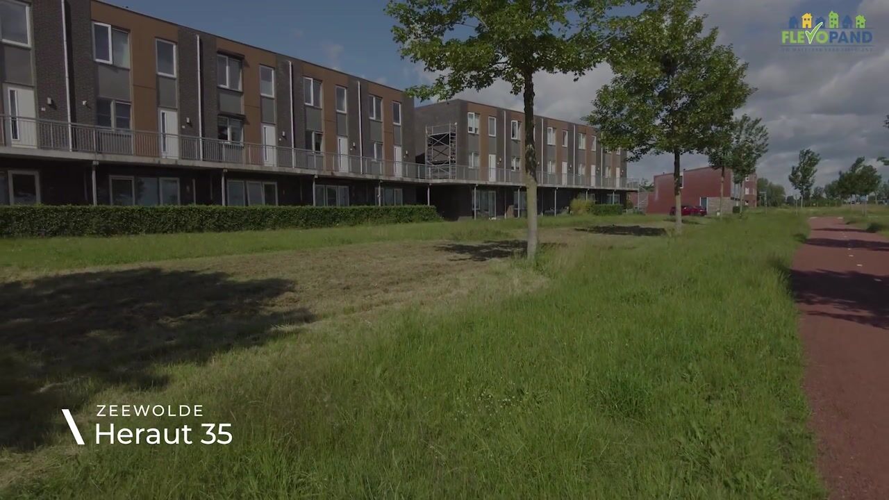 Video of Heraut 35