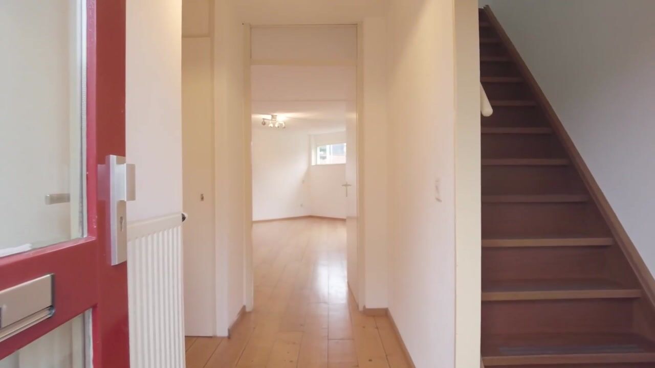 Video of Galgeveld 8