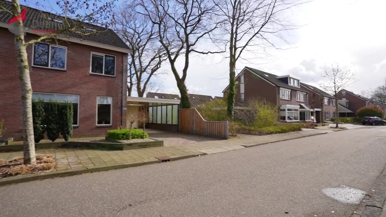 Video of Ganzebloem 26