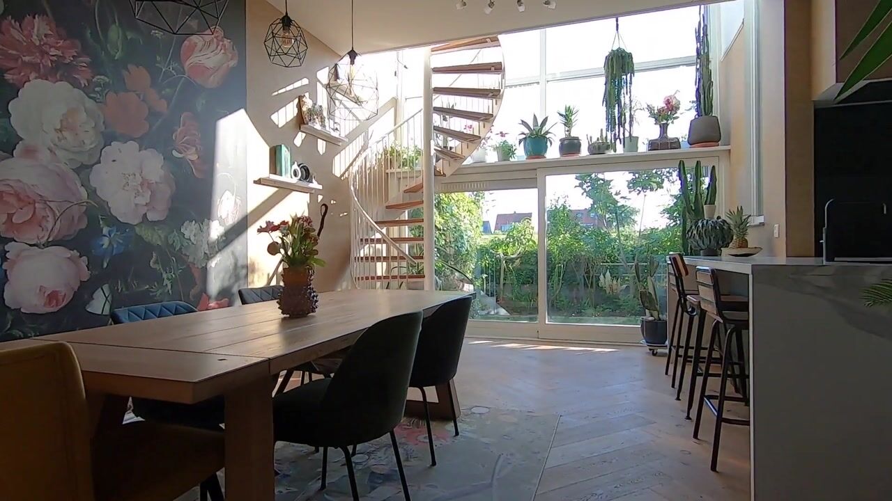 Video of Pyreneeën 5