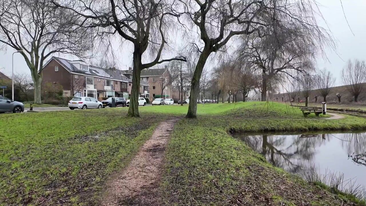 Video of Rozemarijn 85