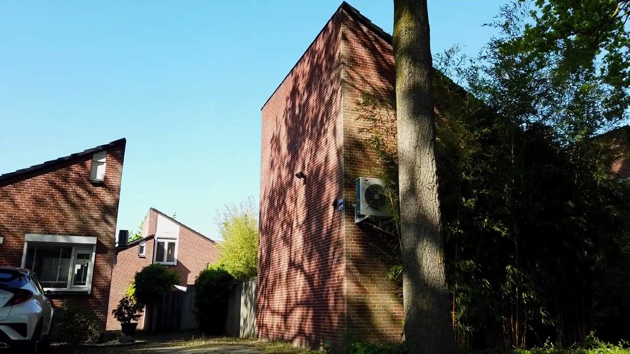 Video van Zwanenstraat 44
