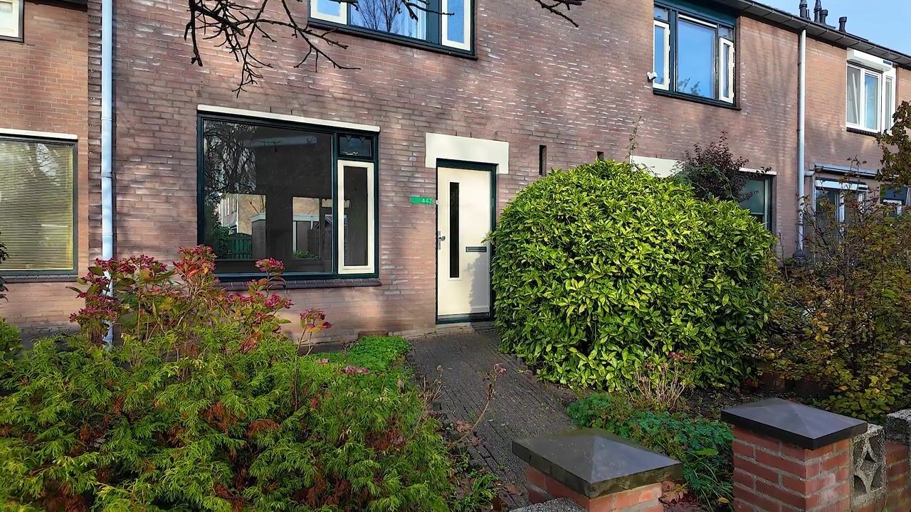 Video van Reigerskamp 447