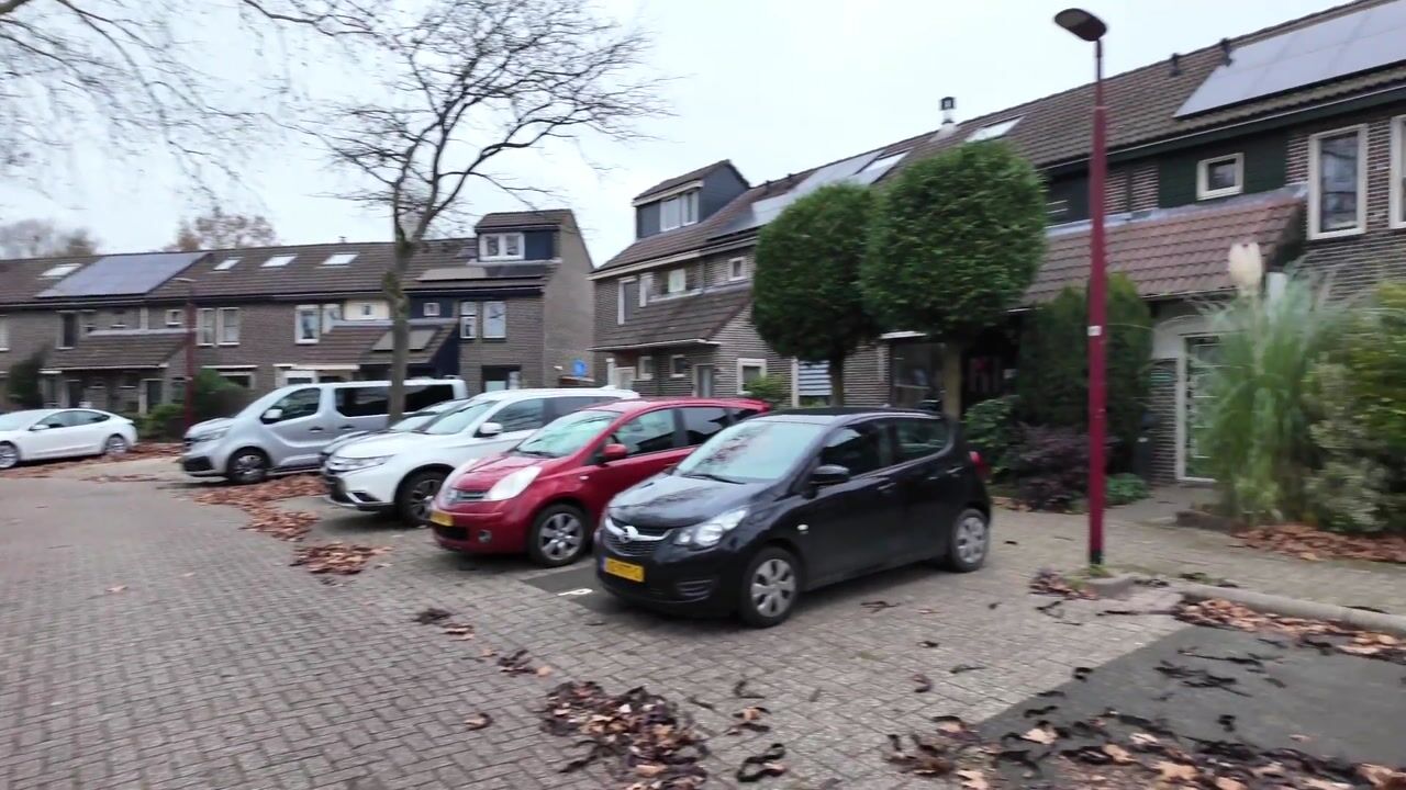 Video van Velduil 20