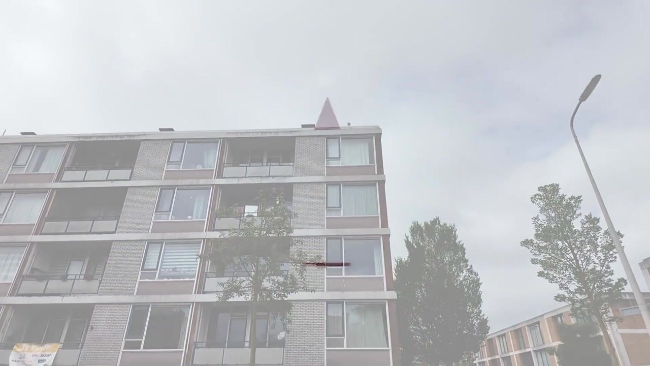 Video van Hengelolaan 593