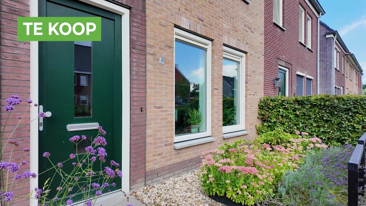 Video of Hoyteslân 41