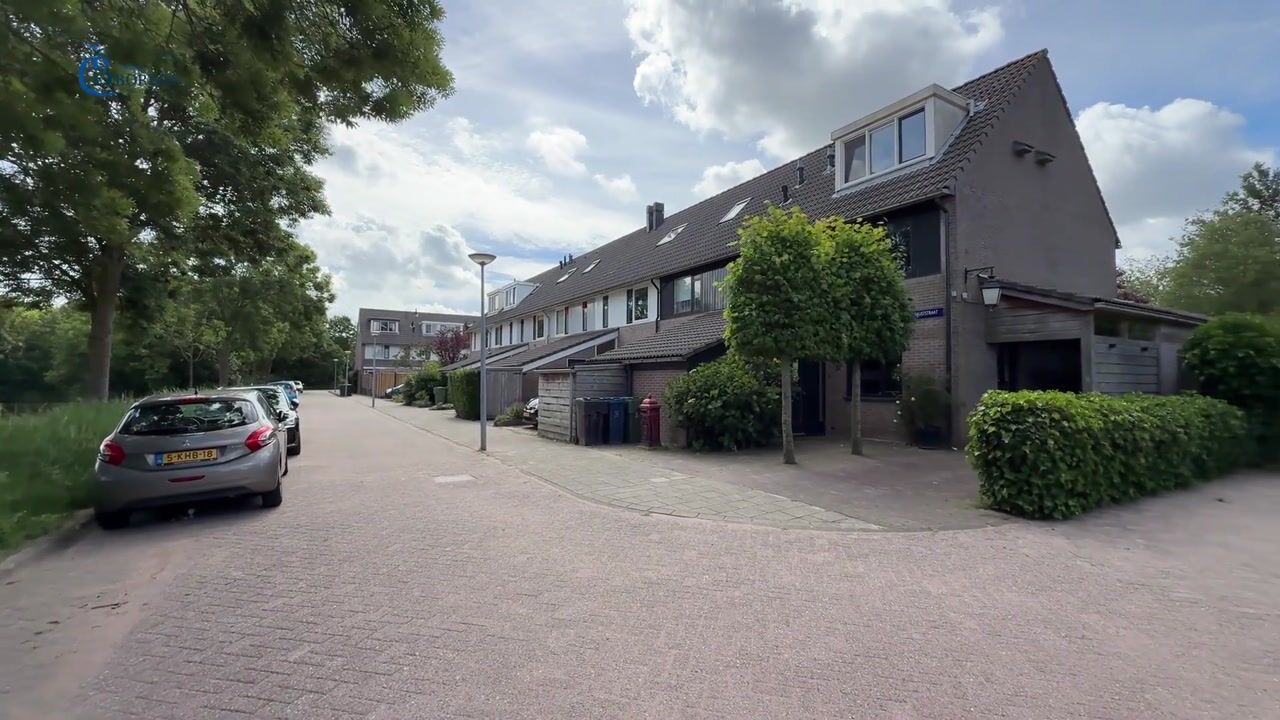 Video van Fauststraat 31