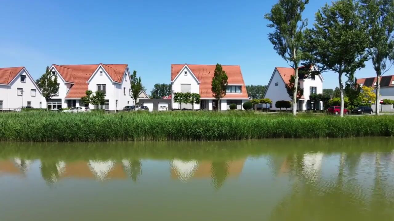 Video van Jacobsschelp 36