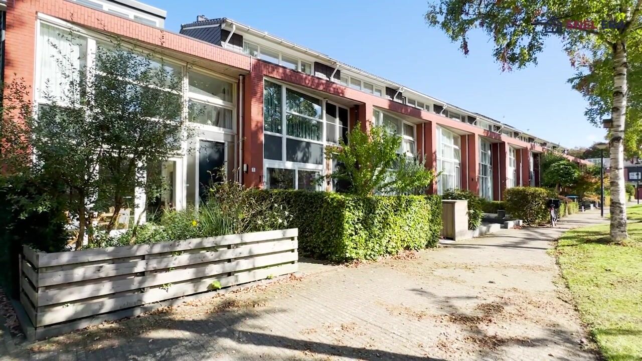 Video van Duifkruid 1