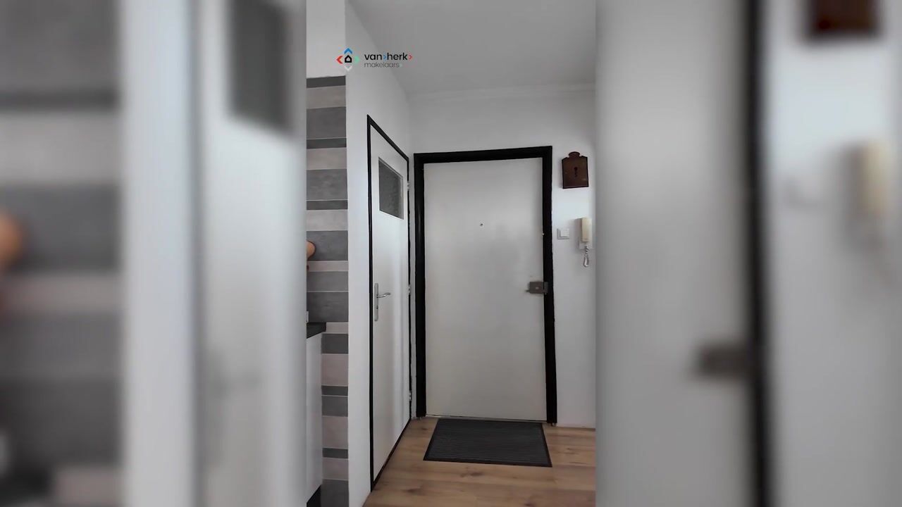 Video of Rubenssingel 77