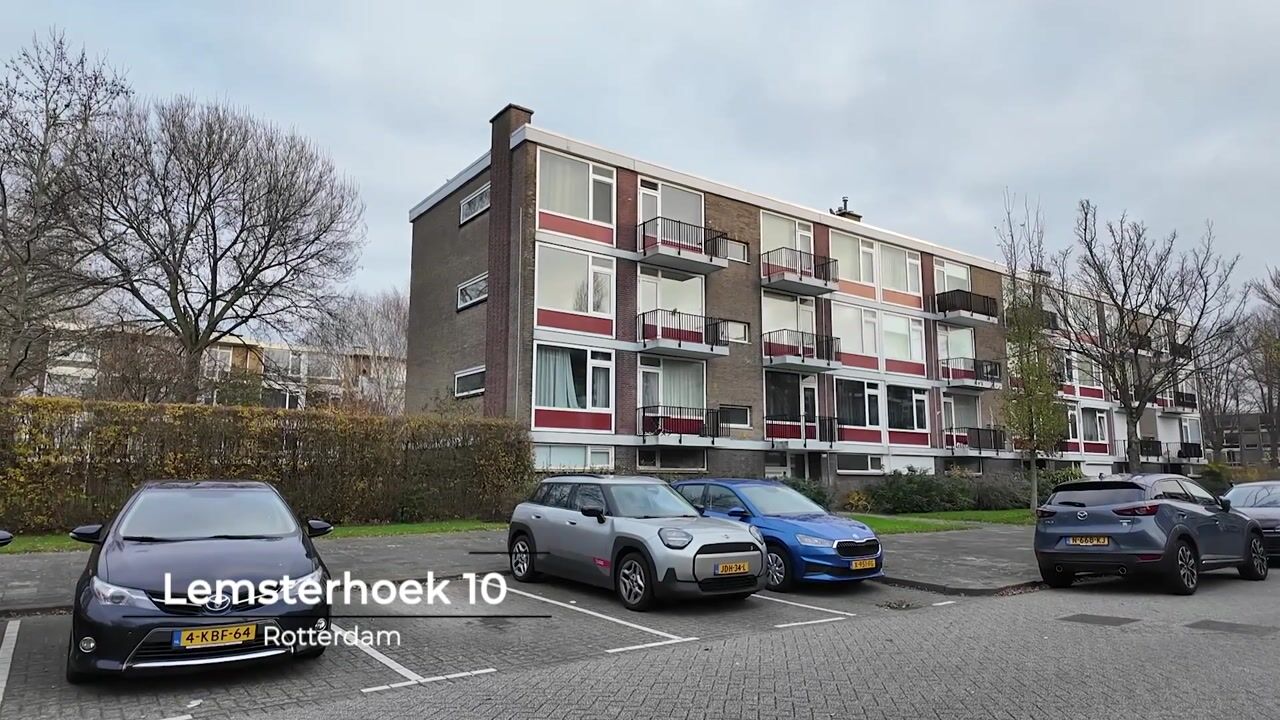 Video of Lemsterhoek 10