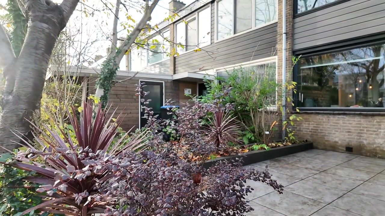 Video of Pieter de Hoochstraat 4