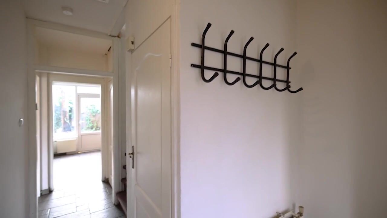 Video of De Hangaarts 58