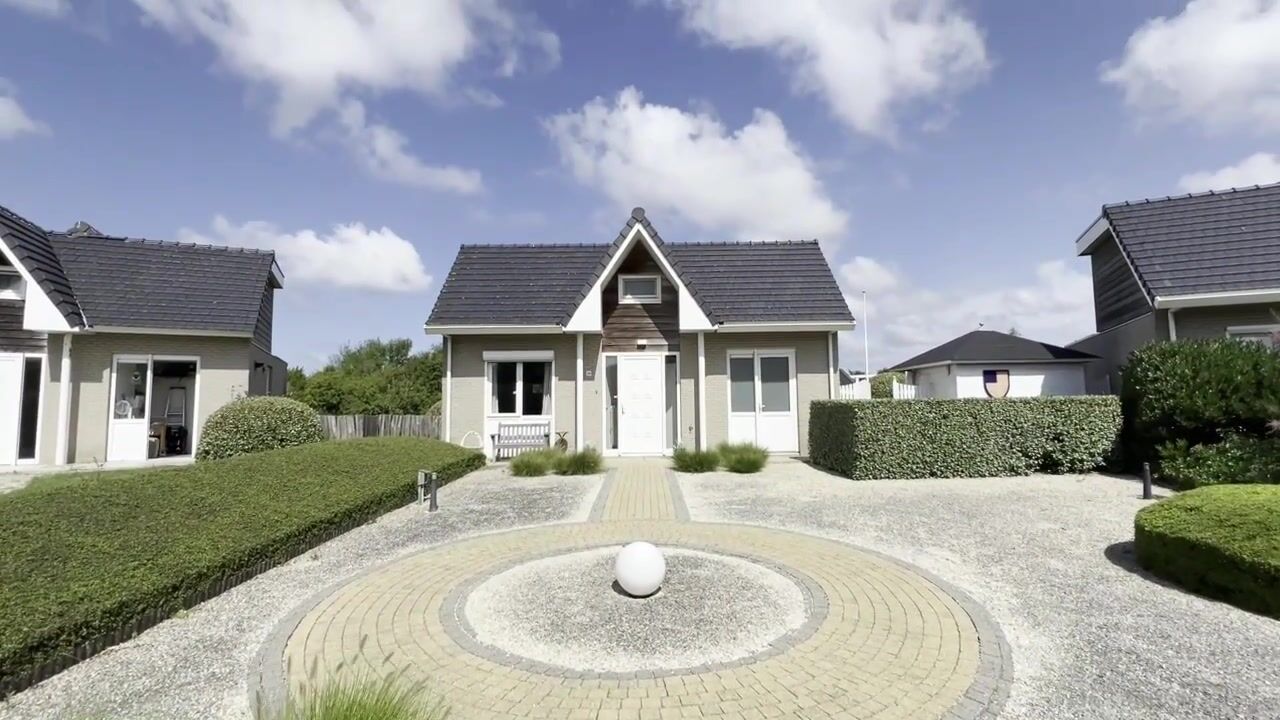 Video of Zilvermeeuw 34