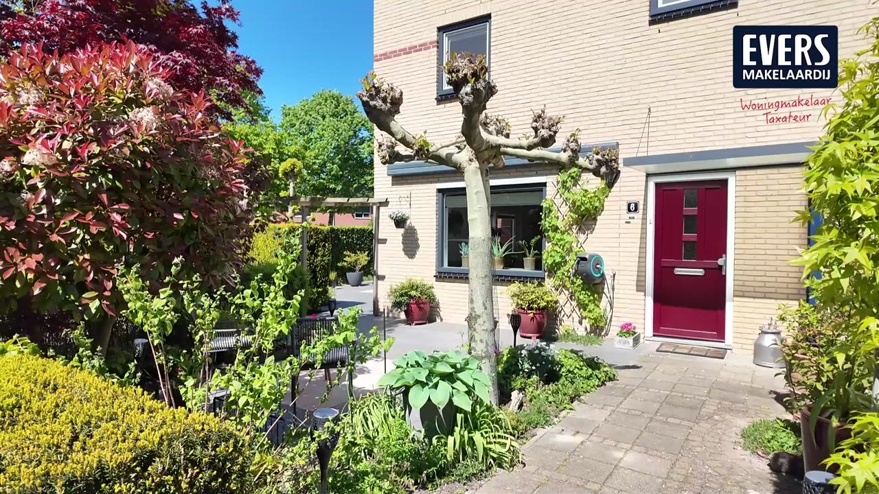 Video van Aart van der Leeuwhove 6