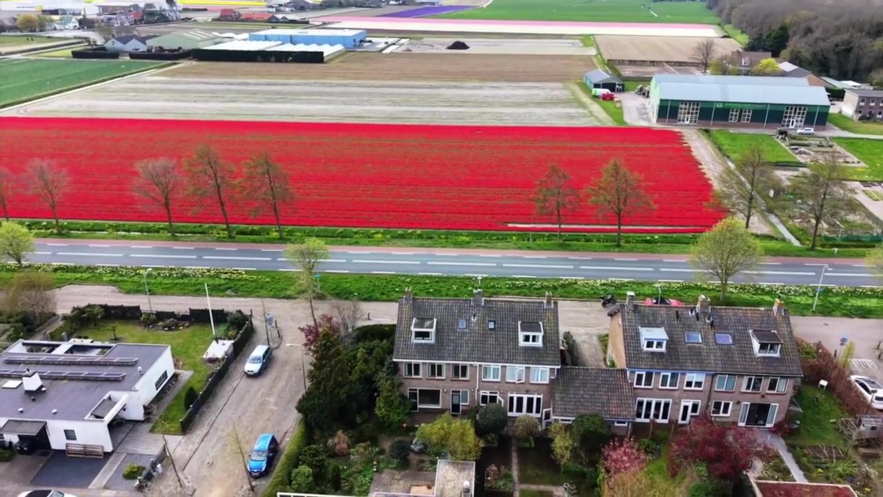 Video van Hoogduinweg 56