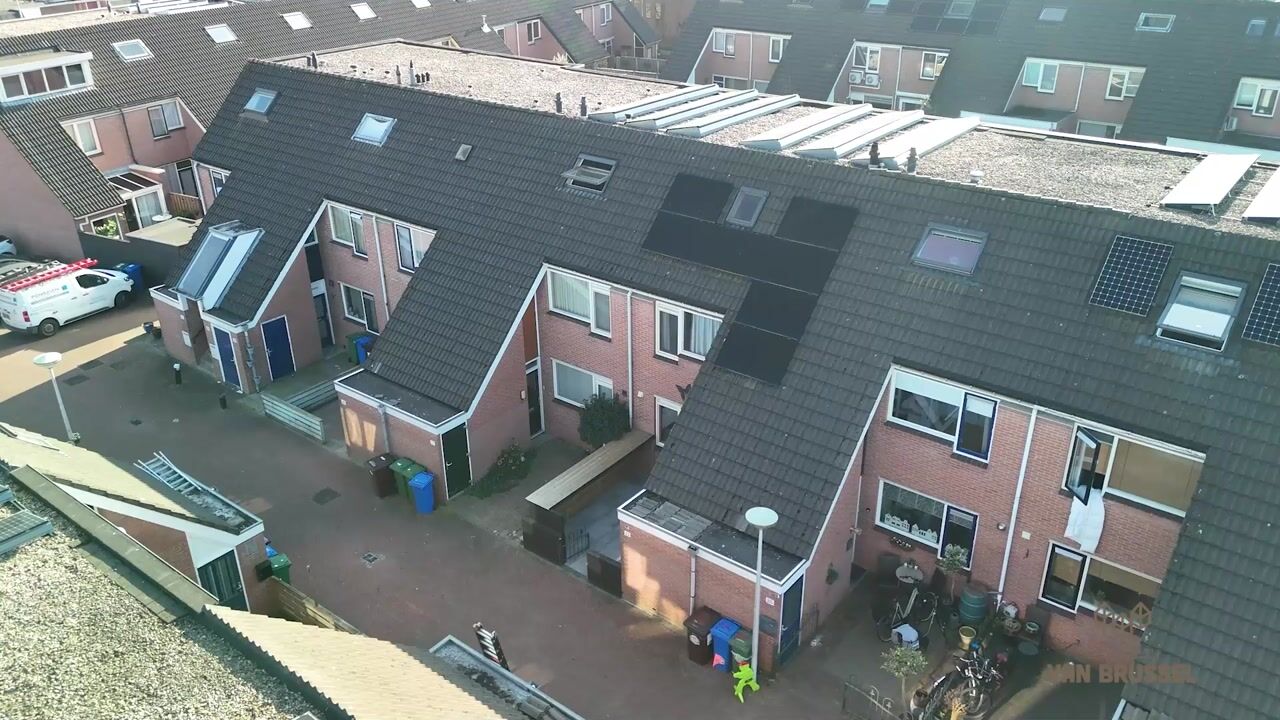 Video of Champignon 22