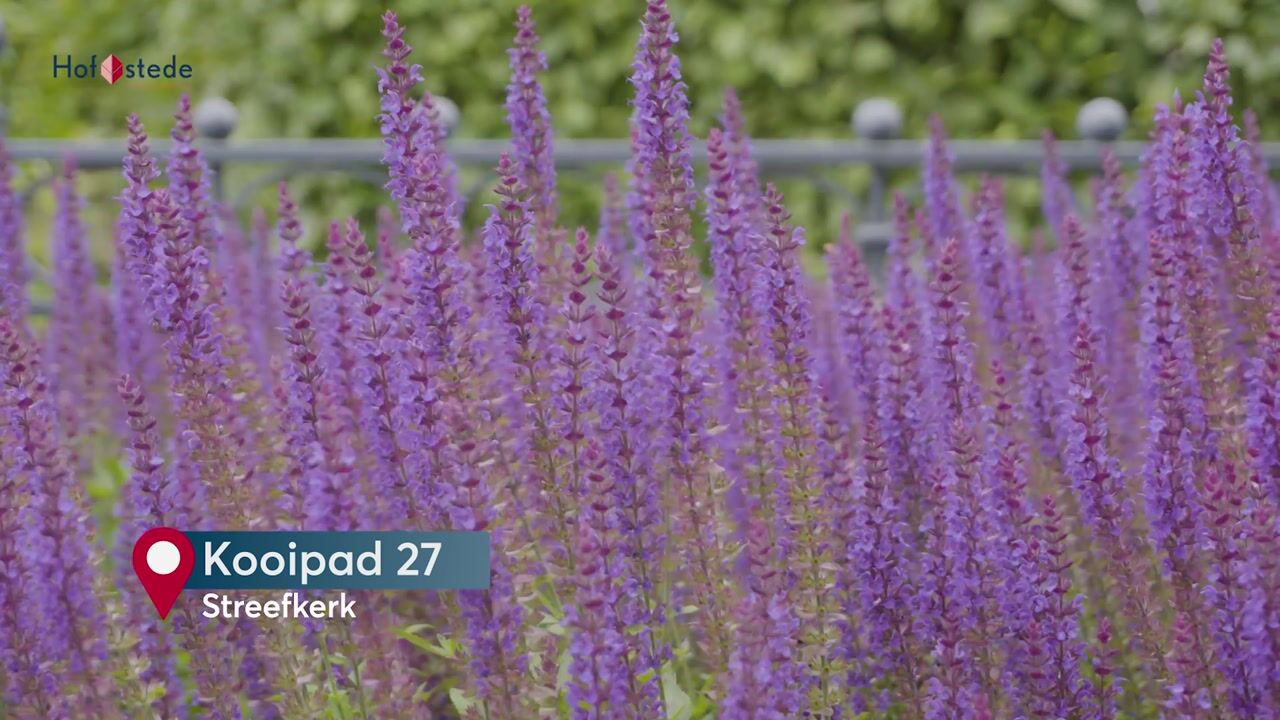 Video van Kooipad 27