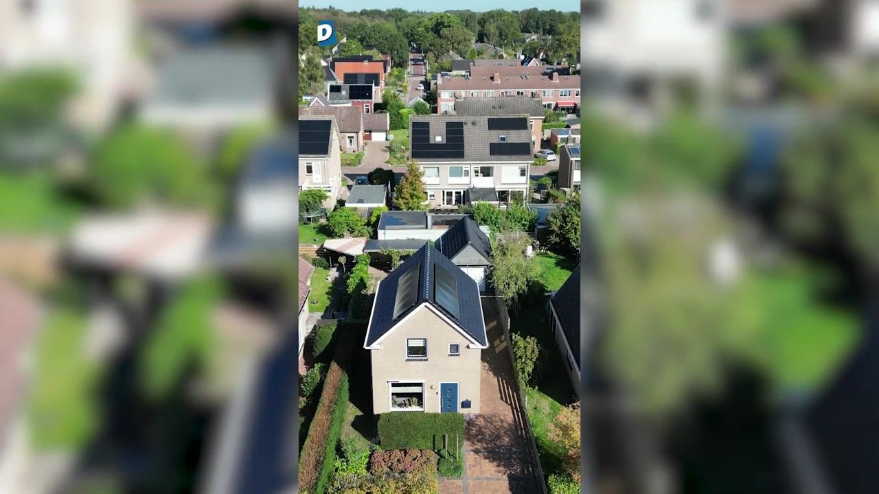 Video van De Bou 15