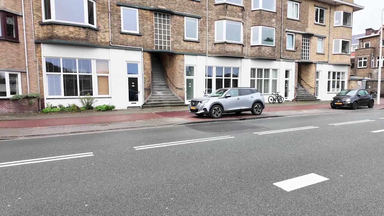 Video van Zwolsestraat 273