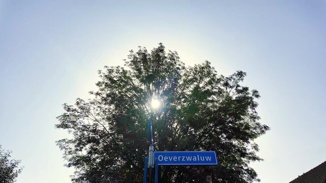Video van Oeverzwaluw 20-A