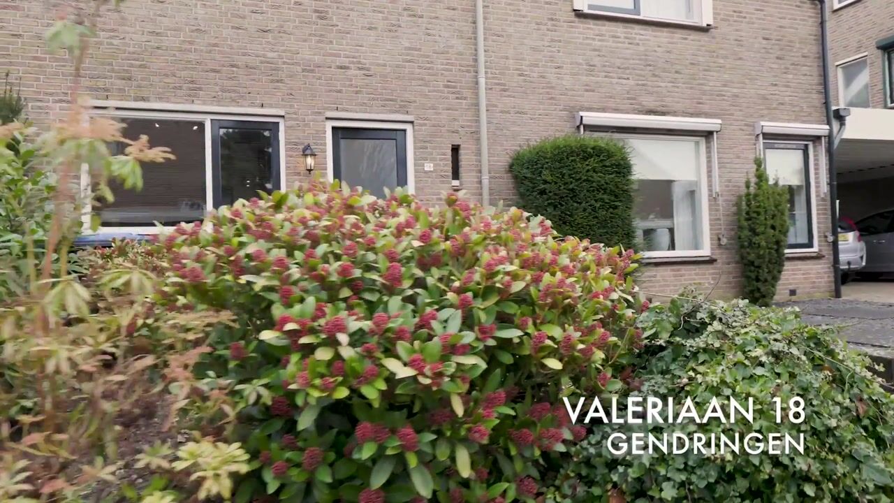Video van Valeriaan 18
