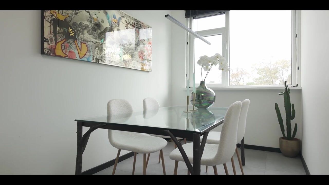 Video of Westerlengte 95