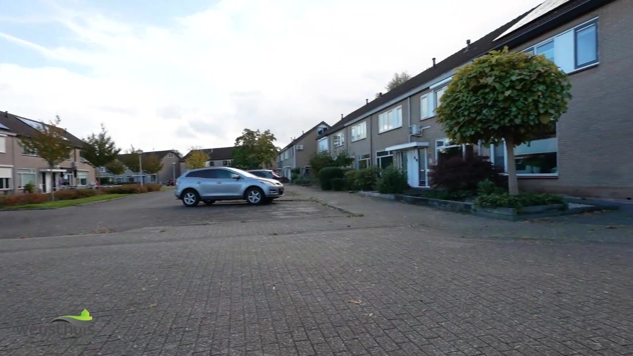 Video of Borg Allersma 1