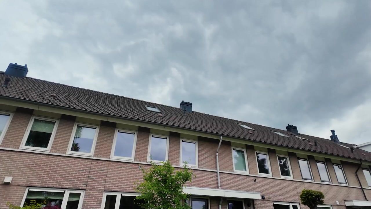 Video van Watertuin 286