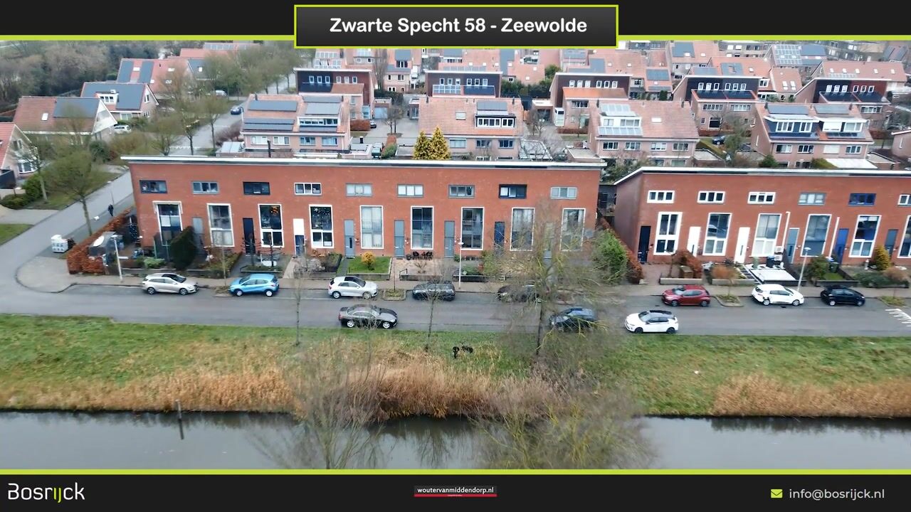 Video van Zwarte Specht 58