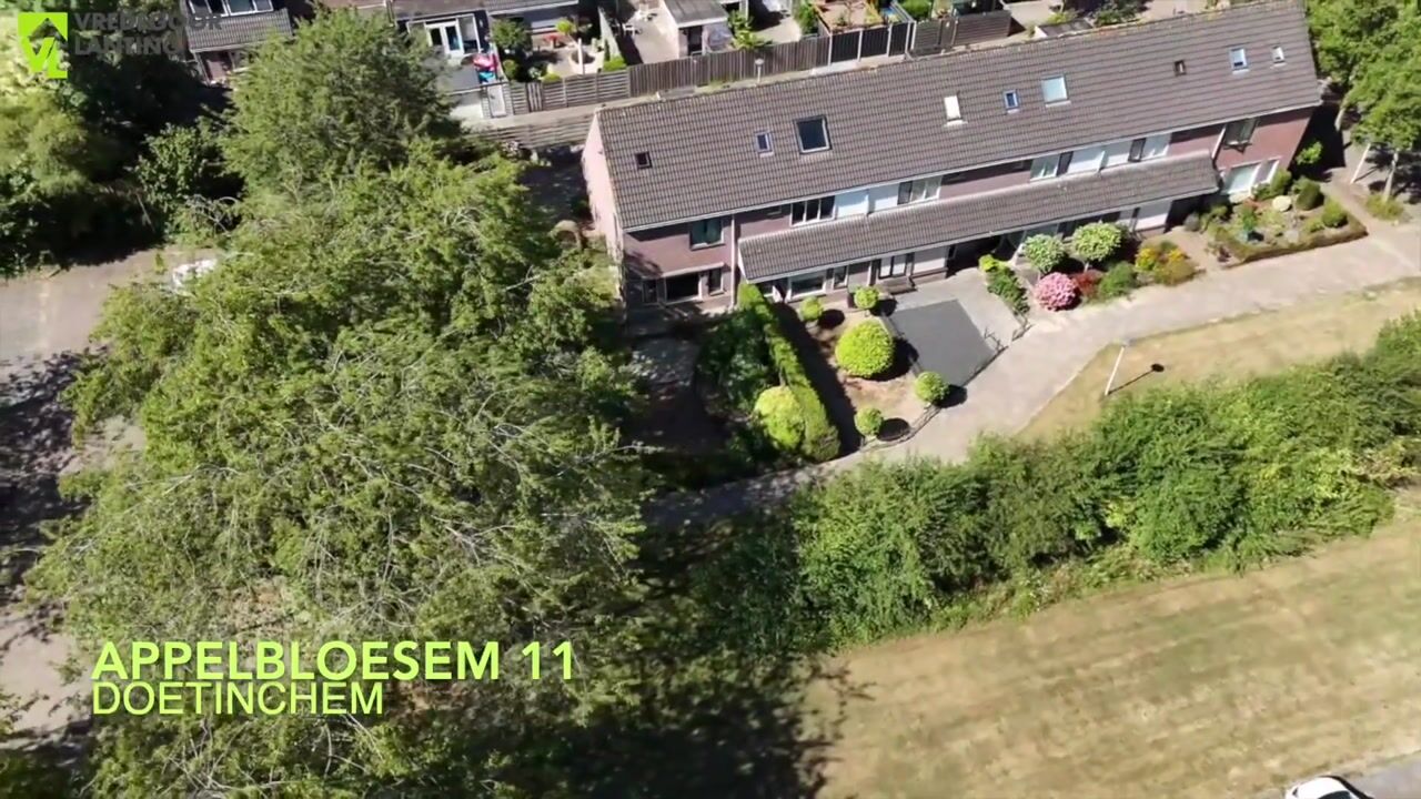 Video van Appelbloesem 11