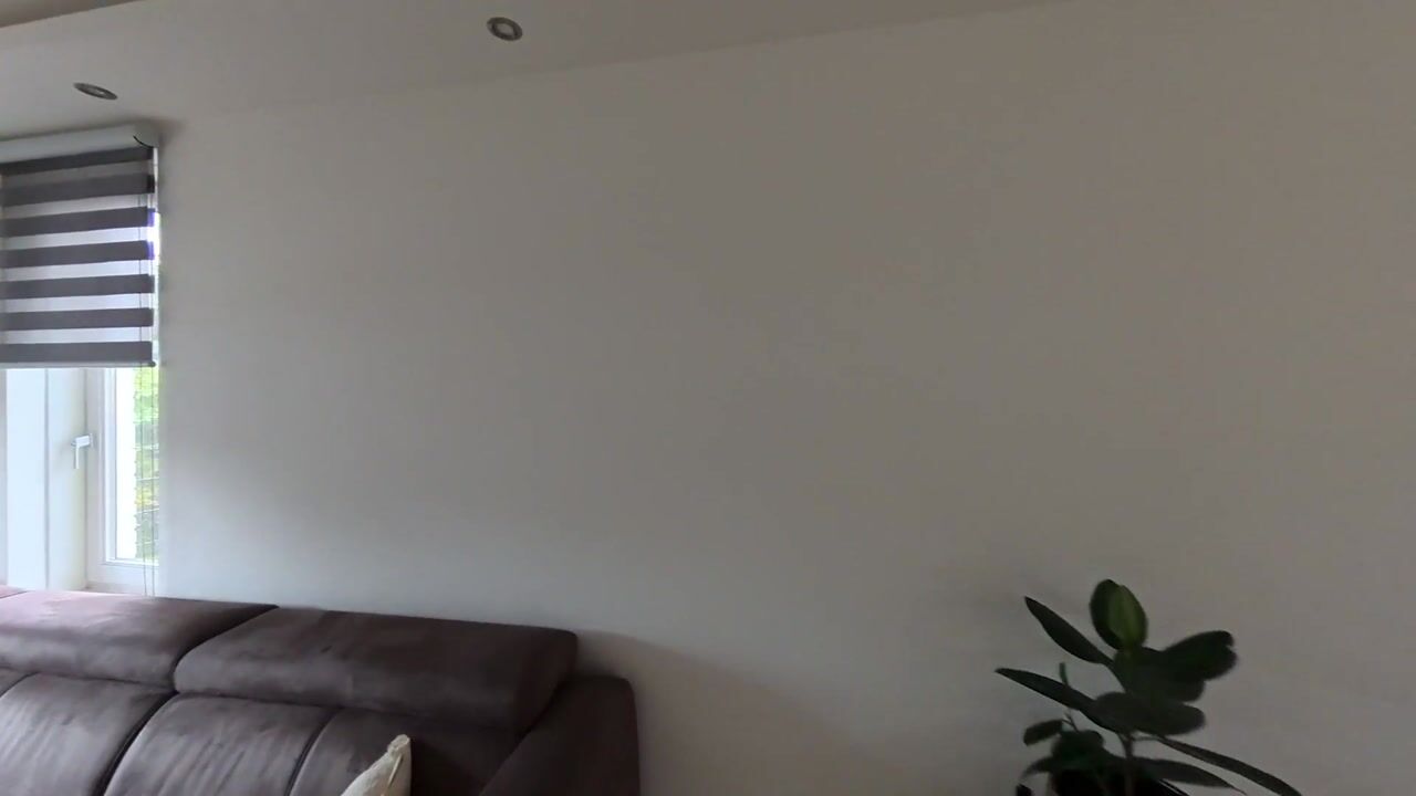 Video van De Wijngaard 36