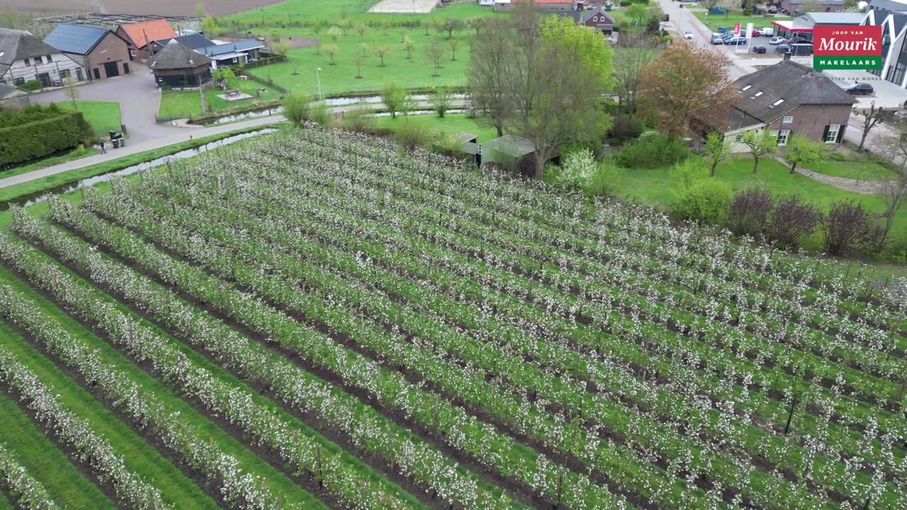 Video van Vogelenzangseweg 28