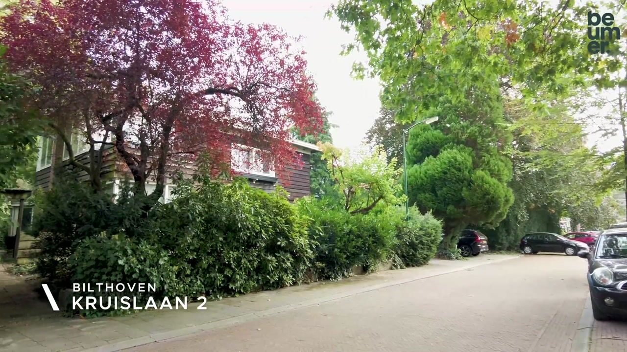 Video van Kruislaan 2