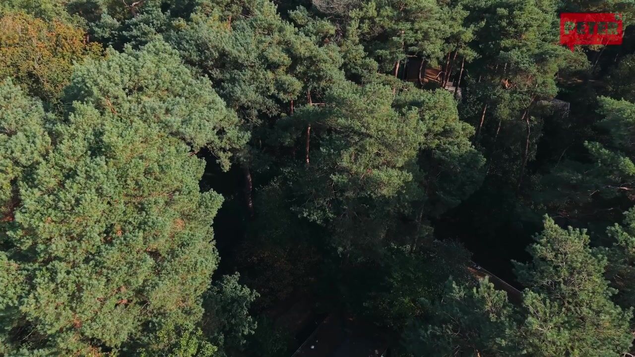 Video van Langeloërduinen 5 29