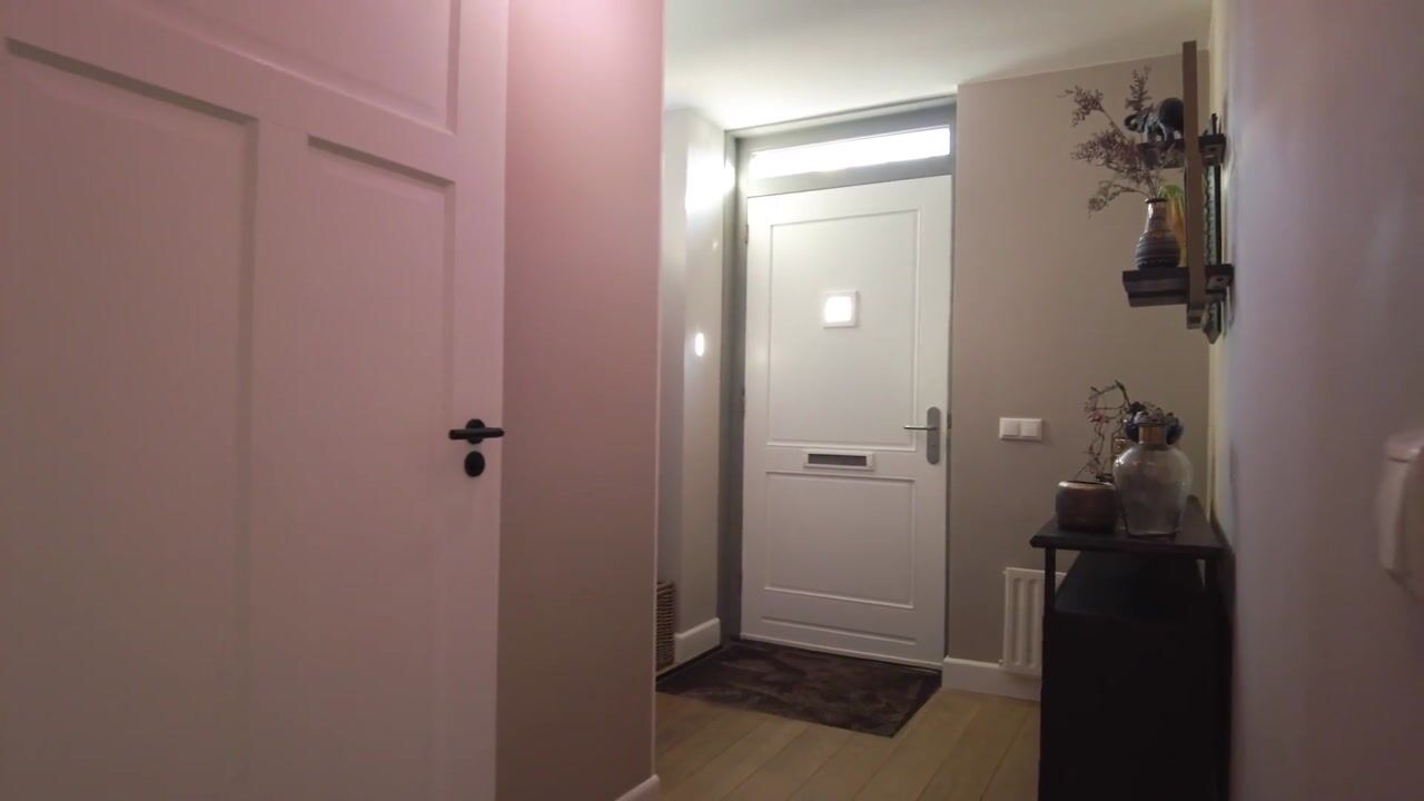 Video of Baudevoort 20