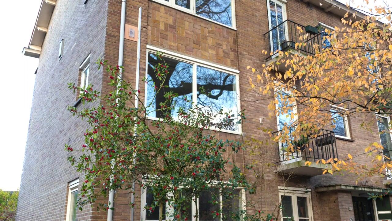 Video of Bosdrift 210