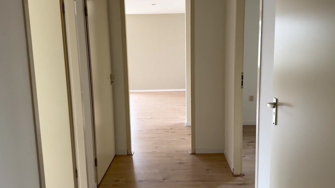 Video van Minervalaan 29