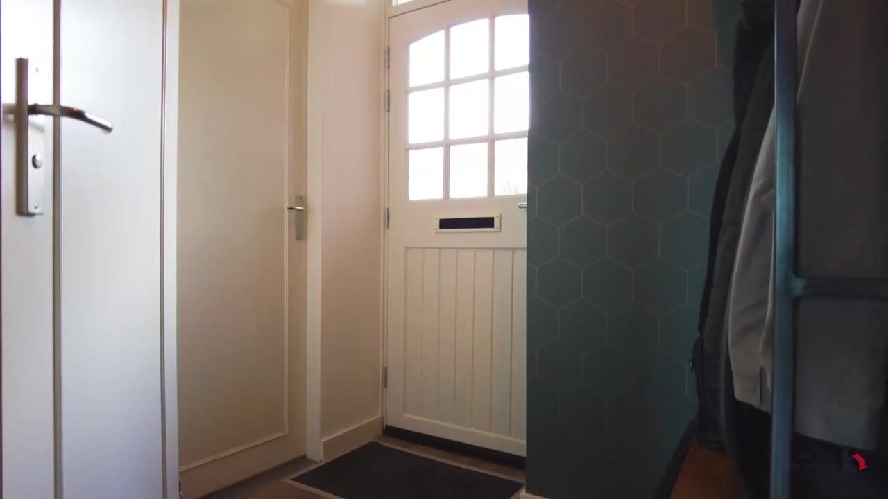 Video van Peellaan 117