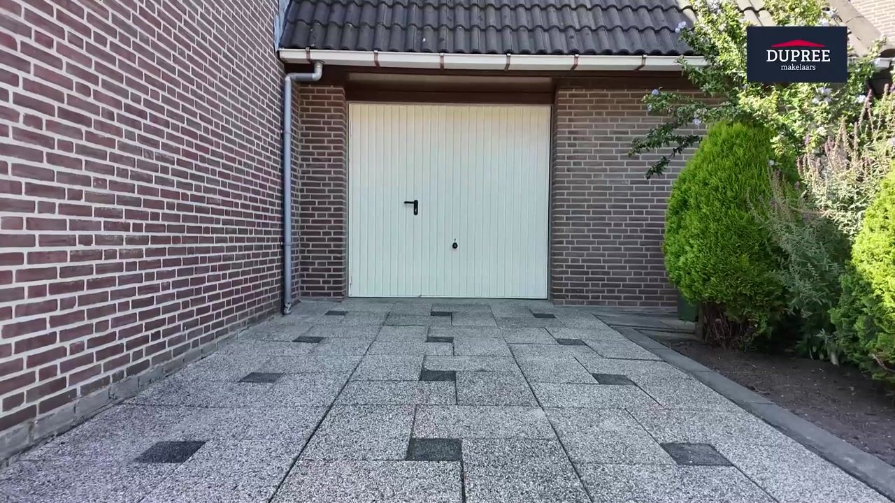 Video van Zonnedauw 17