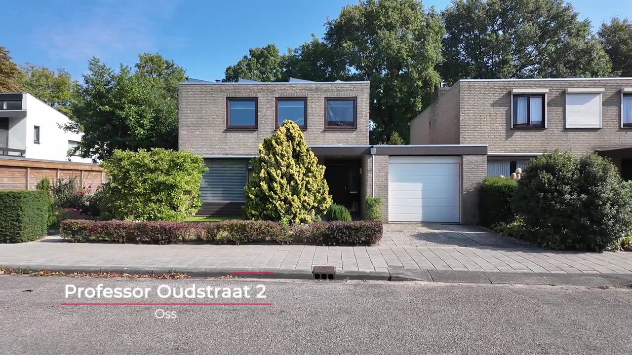 Video of Professor Oudstraat 2